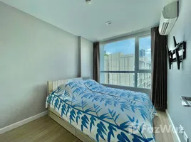 คอนโด 1 ห้องนอน ให้เช่า ในโครงการ เมย์แฟร์ เพลส สุขุมวิท 64, บางจาก