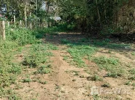 ขายบ้านเดี่ยว 2 ห้องนอน ใน น้ำโจ้, ลำปาง, น้ำโจ้, แม่ทะ, ลำปาง, ไทย