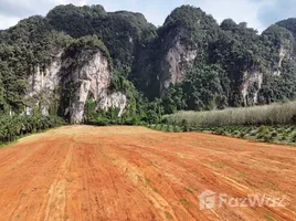 ขายที่ดิน ใน เขาคราม, กระบี่, เขาคราม, เมืองกระบี่, กระบี่, ไทย