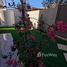 3 Schlafzimmer Villa zu verkaufen in El Hadaba District, Red Sea, El Hadaba District, Hurghada, Red Sea, Ägypten