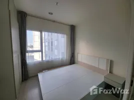 อพาร์ทเม้นท์ 1 ห้องนอน ให้เช่า ในโครงการ แอสปาย รัชดา-วงศ์สว่าง, วงศ์สว่าง, บางซื่อ, กรุงเทพมหานคร