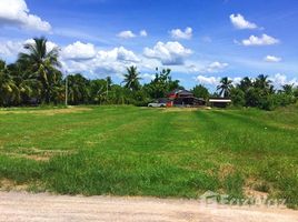  Grundstück zu verkaufen in Damnoen Saduak, Ratchaburi, Don Kruai, Damnoen Saduak, Ratchaburi