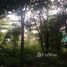  Land for sale in Surat Thani, Ko Pha-Ngan, Ko Pha-Ngan, Surat Thani