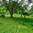  Land for sale in Mae Hia, Chiang Mai, Mae Hia, Mueang Chiang Mai