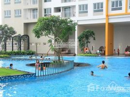 Studio Apartment for rent at The Krista, Binh Trung Dong, District 2, Ho Chi Minh City, Vietnam