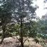 4 Habitación Casa en venta en Maenam Khu, Rayong, Maenam Khu, Pluak Daeng, Rayong, Tailandia
