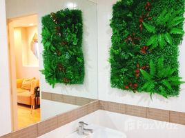 1 Bedroom Condo for rent at Casa Condo Asoke-Dindaeng, Din Daeng, Din Daeng, Bangkok