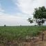  Land for sale in Thailand, Wang Muang, Wang Muang, Saraburi, Thailand