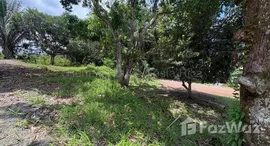 Unités disponibles à Quepos