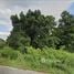  Land for sale in Yang Talat, Kalasin, Bua Ban, Yang Talat