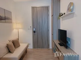 คอนโด 1 ห้องนอน ให้เช่า ในโครงการ ไนท์บริดจ์ สุขุมวิท-เทพารักษ์ บาย แฮมตัน, เทพารักษ์, เมืองสมุทรปราการ