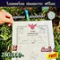  Terreno (Parcela) en venta en Thale Bok, Suphan Buri, Thale Bok, Don Chedi, Suphan Buri, Tailandia