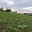  Terreno (Parcela) en venta en Nong Yang Suea, Saraburi, Nong Yang Suea, Muak Lek, Saraburi, Tailandia