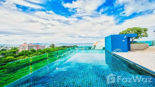 Photos 1 of the Communal Pool at Acqua Condo