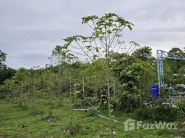  토지을(를) 탈랑, 푸켓에서 판매합니다., Pa Khlok, 탈랑