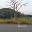  Land for sale in Chae Chang, San Kamphaeng, Chae Chang