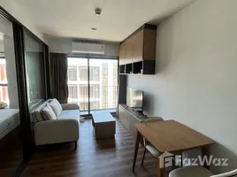 คอนโด 1 ห้องนอน ให้เช่า ในโครงการ ลา ฮาบานา, หนองแก, หัวหิน, ประจวบคีรีขันธ์