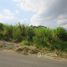  Terreno (Parcela) en venta en Fernando De Noronha, Rio Grande do Norte, Fernando De Noronha, Fernando De Noronha