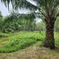  Land for sale in Thailand, Thep Krasattri, Thalang, Phuket, Thailand