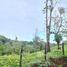  Terreno (Parcela) en venta en Sarapiqui, Heredia, Sarapiqui