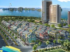 10 Phòng ngủ Biệt thự for sale in Vân Đồn, Quảng Ninh, Hạ Long, Vân Đồn