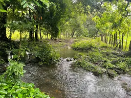  Grundstück zu verkaufen in Boquete, Chiriqui, Bajo Boquete