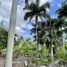 Terrain à vendre à Sosua, Puerto Plata, Sosua, Puerto Plata