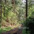  Land for sale in Tegucigalpa Francisco Morazan, Tegucigalpa