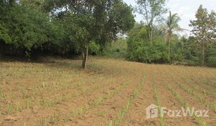 N/A Grundstück zu verkaufen in Mae Yao, Chiang Rai 