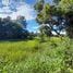  Land for sale in Thailand, Muang, Ban Muang, Sakon Nakhon, Thailand