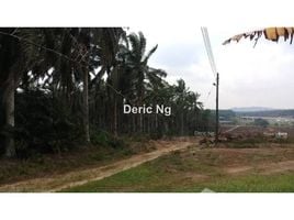  Terrain for sale in Malaisie, Senai, Kulaijaya, Johor, Malaisie