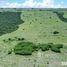  Grundstück zu verkaufen in Paberiwai, East Nusa Tenggara, Paberiwai, Sumba Timur, East Nusa Tenggara, Indonesien
