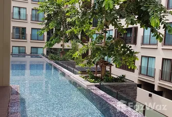 Fotos 3 of the สระว่ายน้ำ at Condolette Dwell Sukhumvit 26