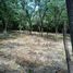  Land for sale in Liberia, Guanacaste, Liberia