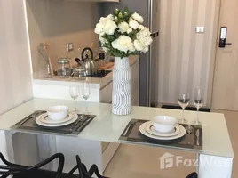 อพาร์ทเม้นท์ 1 ห้องนอน ให้เช่า ในโครงการ ริทึ่ม สุขุมวิท 42, พระโขนง