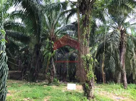 在FazWaz.cn出售的 土地, Ao Nang, Mueang Krabi, 甲米, 泰国