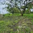 Terrain à vendre à Puerto Plata, San Felipe De Puerto Plata, Puerto Plata
