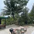 6 Bedroom Hotel for sale in Koh Samui Surat Thani, Lipa Noi, Koh Samui, Surat Thani