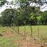  Land for sale in Esparza, Puntarenas, Esparza