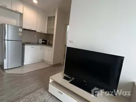 คอนโด 1 ห้องนอน ให้เช่า ในโครงการ Centric Scene Sukhumvit 64, บางนา, บางนา