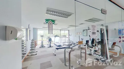 Vista en 3D of the Communal Gym at Palm Pavilion