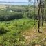 Land for sale in Thailand, Mueang Phangnga, Phangnga, Thailand