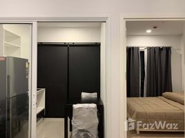 คอนโด 1 ห้องนอน ให้เช่า ในโครงการ เดอะทรี สุขุมวิท 71 – เอกมัย, สวนหลวง