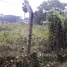  Terreno (Parcela) en venta en Hugli, West Bengal, Chunchura, Hugli