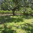 Terreno (Parcela) en venta en Costa Rica, Orotina, Alajuela, Costa Rica