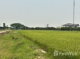  Land for sale in Ban Thi, Lamphun, Ban Thi, Ban Thi