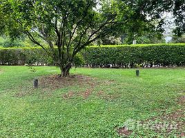  Land for sale in San Mateo, Alajuela, San Mateo