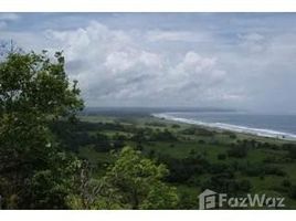 在Guanacaste出售的 土地, Nandayure, Guanacaste