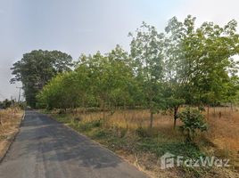  Land for sale in Pa Tio, Yasothon, Krachai, Pa Tio