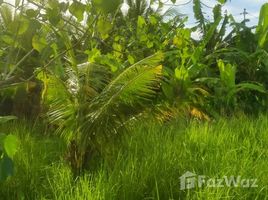  Land for sale in Bali, Kediri, Tabanan, Bali
